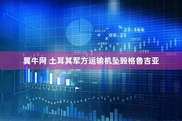 翼牛网 土耳其军方运输机坠毁格鲁吉亚