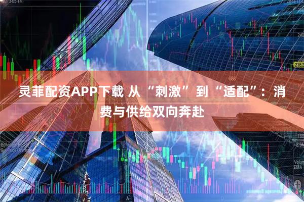 灵菲配资APP下载 从 “刺激” 到 “适配”：消费与供给双向奔赴